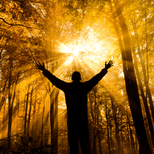 The Sacred Initiation: How the Dark Night of the Soul Forges Authentic Awakening